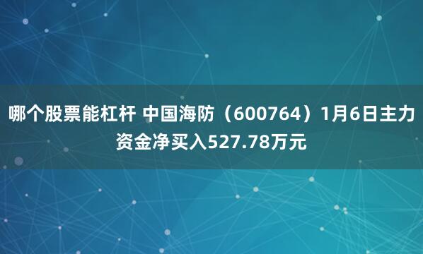 哪个股票能杠杆 中国海防（600764）1月6日主力资金净买入527.78万元