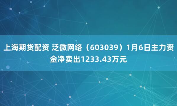 上海期货配资 泛微网络（603039）1月6日主力资金净卖出1233.43万元