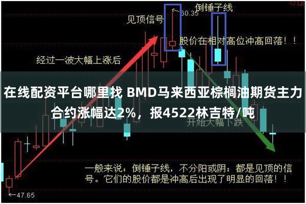 在线配资平台哪里找 BMD马来西亚棕榈油期货主力合约涨幅达2%，报4522林吉特/吨