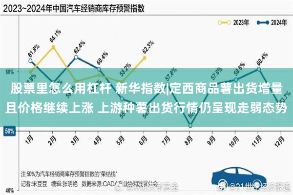 股票里怎么用杠杆 新华指数|定西商品薯出货增量且价格继续上涨 上游种薯出货行情仍呈现走弱态势