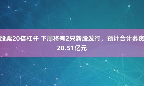 股票20倍杠杆 下周将有2只新股发行，预计合计募资20.51亿元