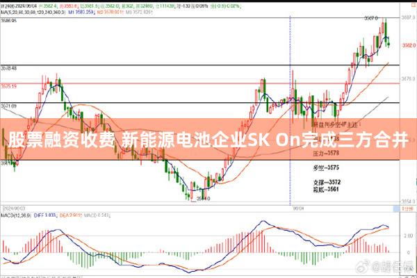 股票融资收费 新能源电池企业SK On完成三方合并