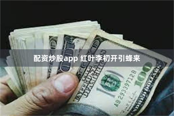 配资炒股app 红叶李初开引蜂来