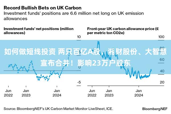 如何做短线投资 两只百亿A股，湘财股份、大智慧宣布合并！影响23万户股东