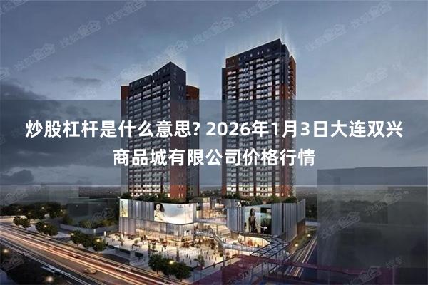 炒股杠杆是什么意思? 2026年1月3日大连双兴商品城有限公司价格行情